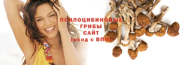дурь Алзамай