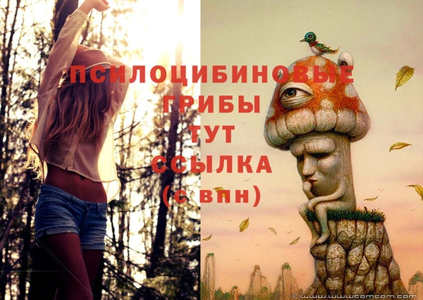 дмт Елизово
