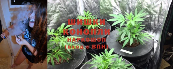 дурь Алзамай