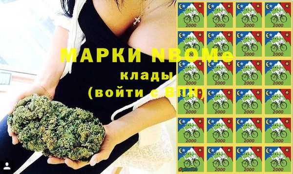 дурь Алзамай