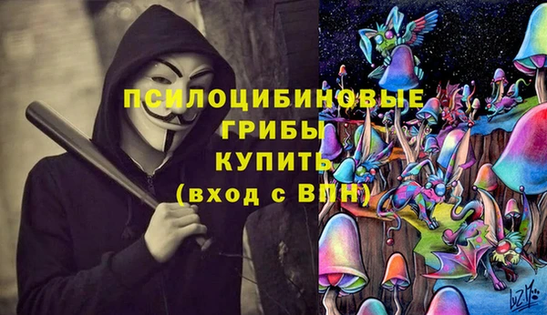 дурь Алзамай