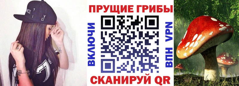 Псилоцибиновые грибы мухоморы как найти закладки Рошаль